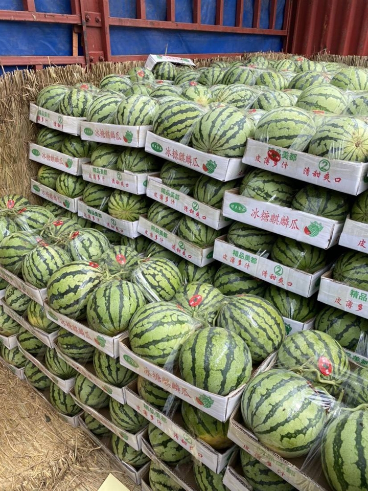 海南批发供应商